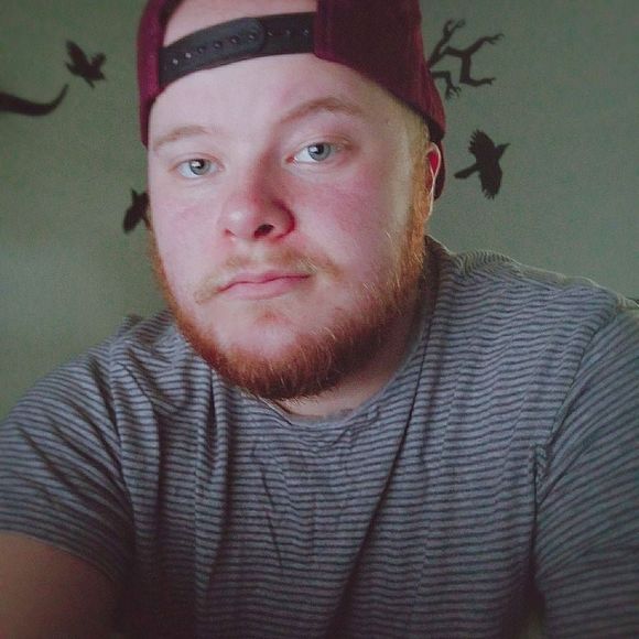 Meet your Posher, Keaton - Picture 1 of 1